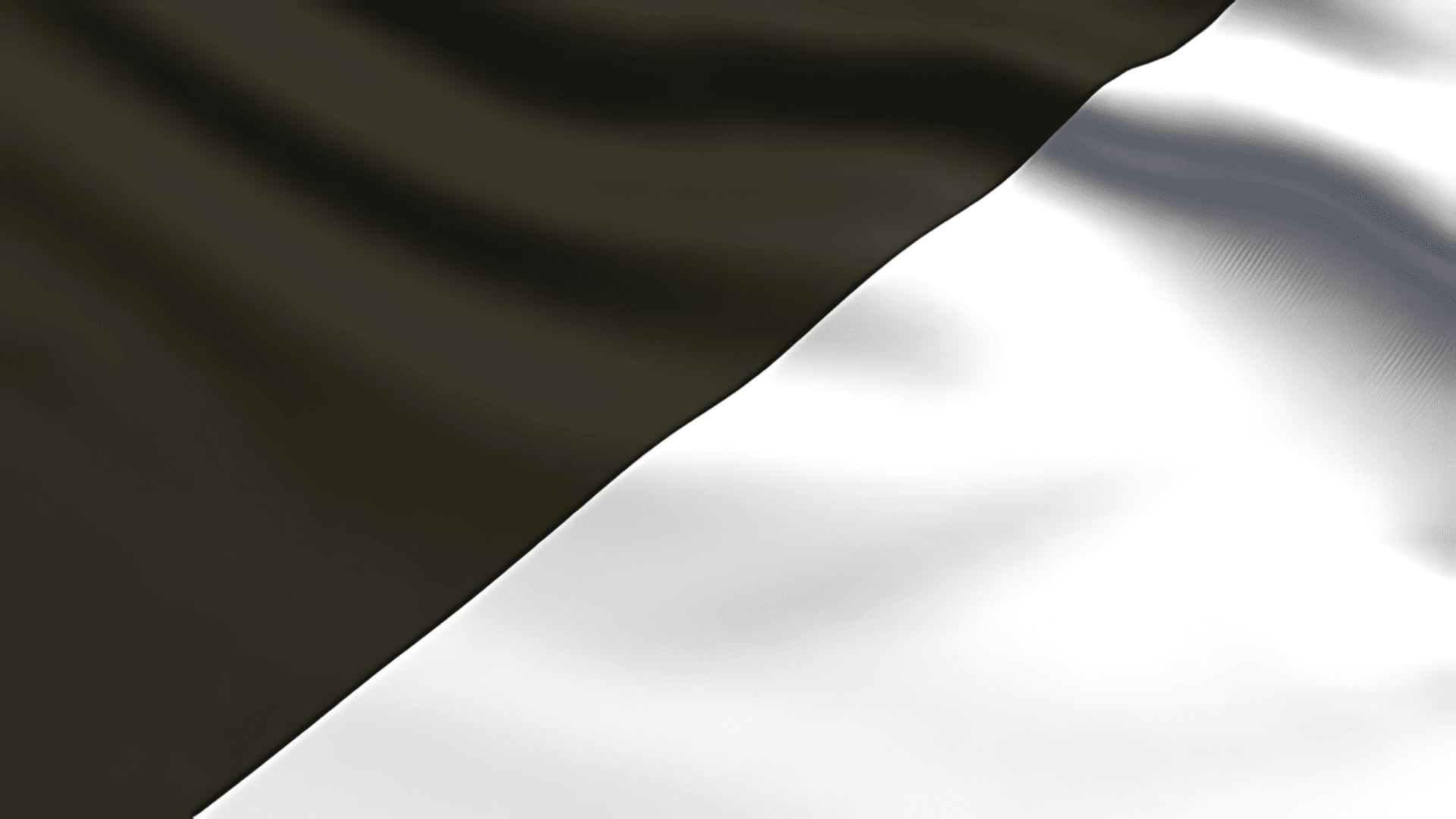 Black and White Flag F1 Flag