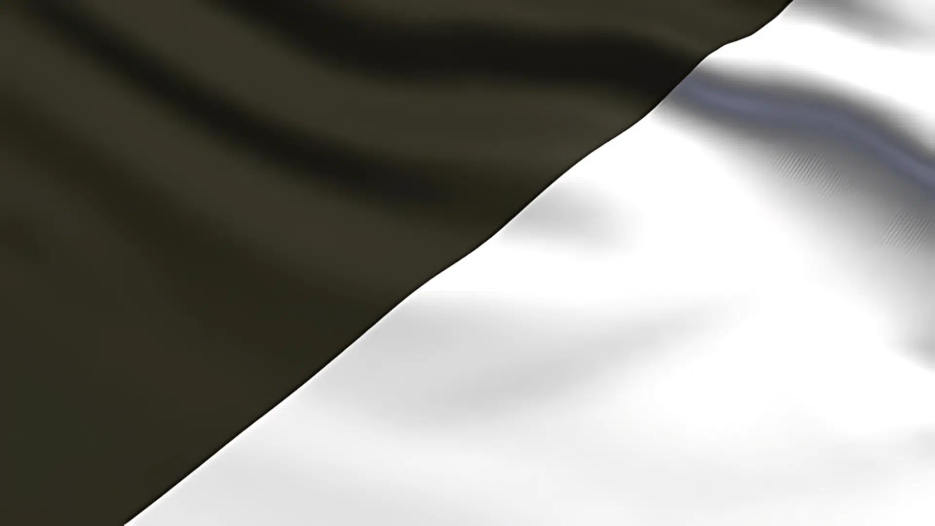 Black and White Flag F1 Flag