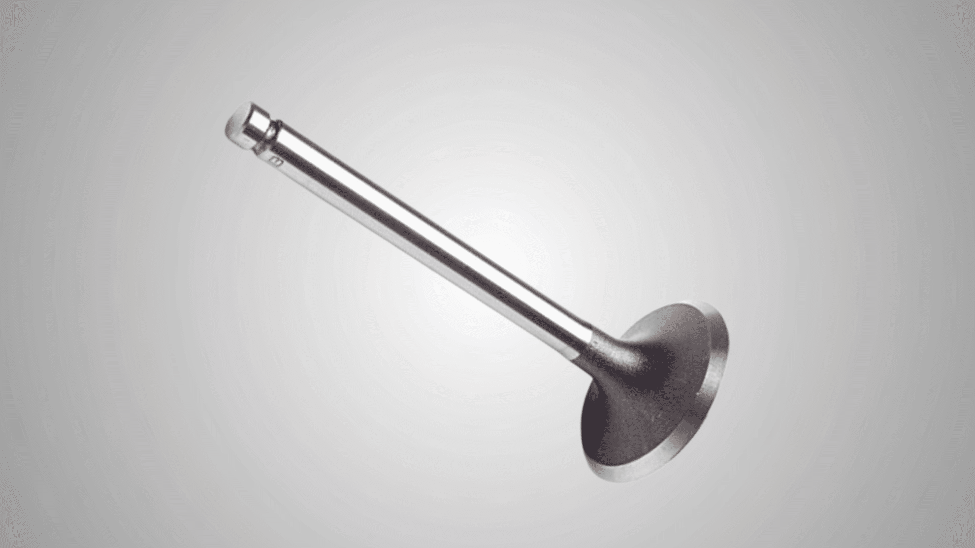 valves