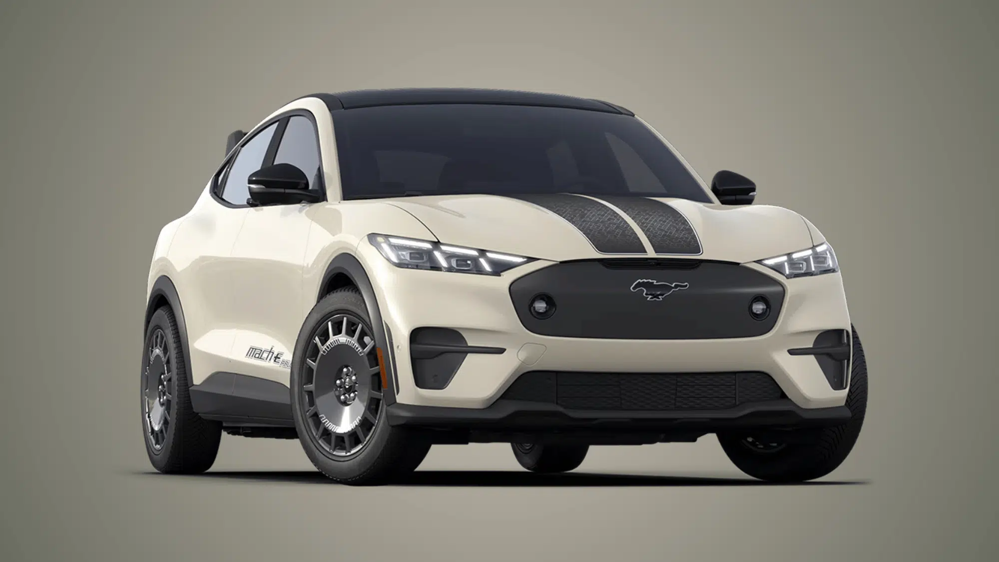 rally model