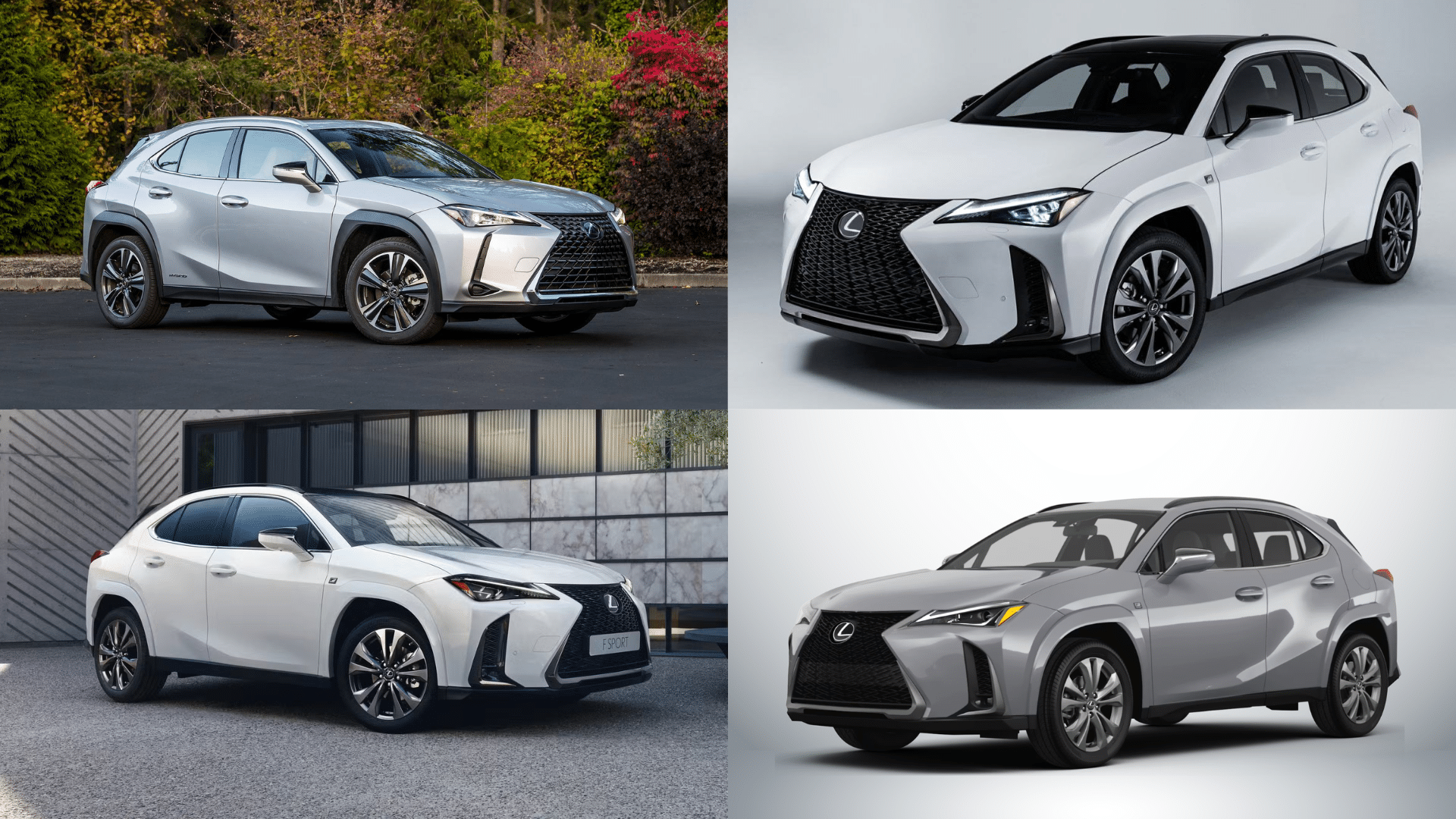 trim levels and options